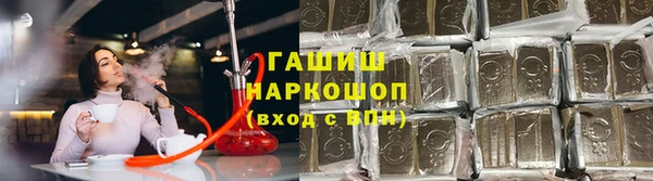 спиды Богданович